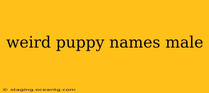 weird puppy names male