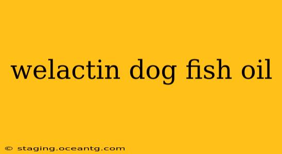 welactin dog fish oil