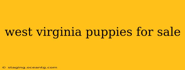 west virginia puppies for sale