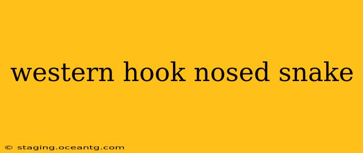 western hook nosed snake