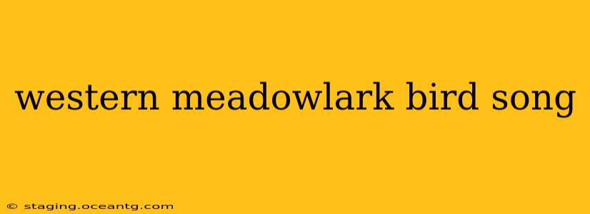 western meadowlark bird song