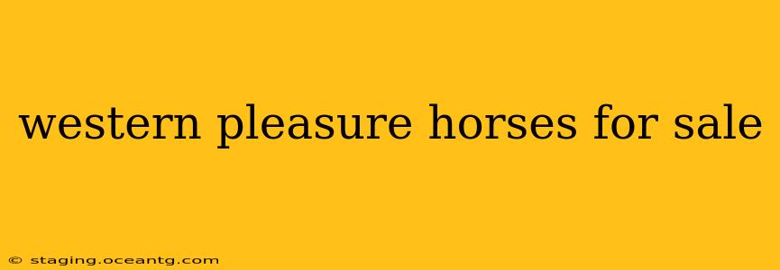 western pleasure horses for sale