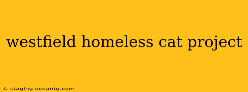 westfield homeless cat project