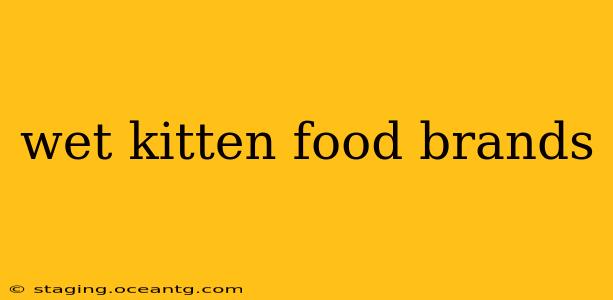 wet kitten food brands