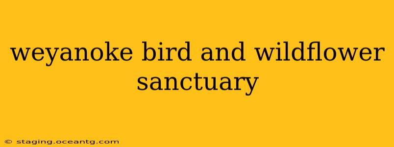 weyanoke bird and wildflower sanctuary