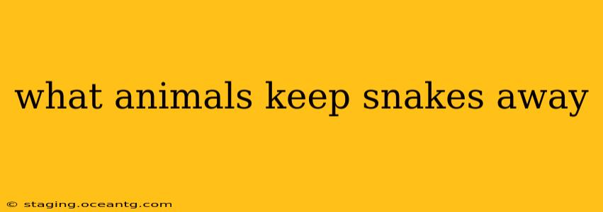 what animals keep snakes away