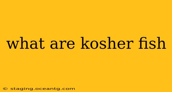 what are kosher fish