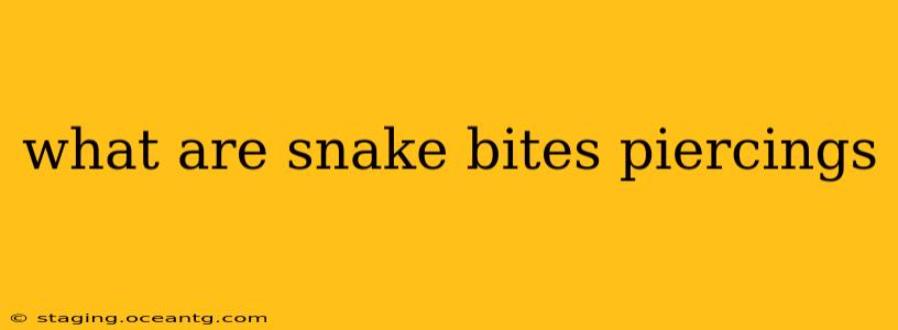 what are snake bites piercings