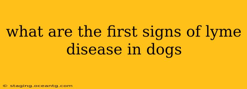 what are the first signs of lyme disease in dogs