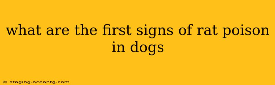 what are the first signs of rat poison in dogs