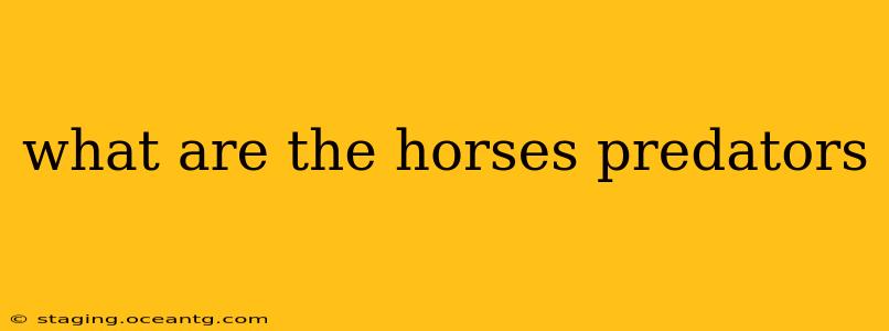 what are the horses predators