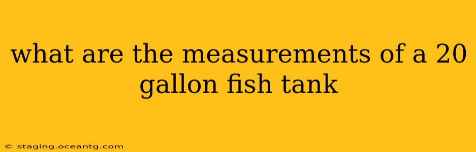 what are the measurements of a 20 gallon fish tank