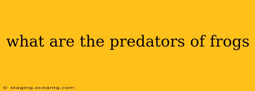 what are the predators of frogs