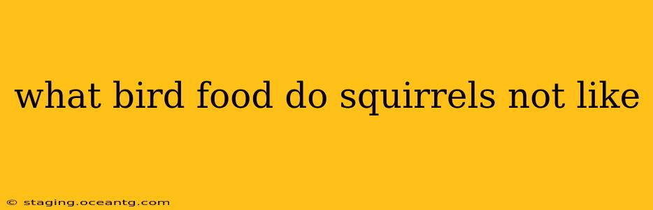 what bird food do squirrels not like
