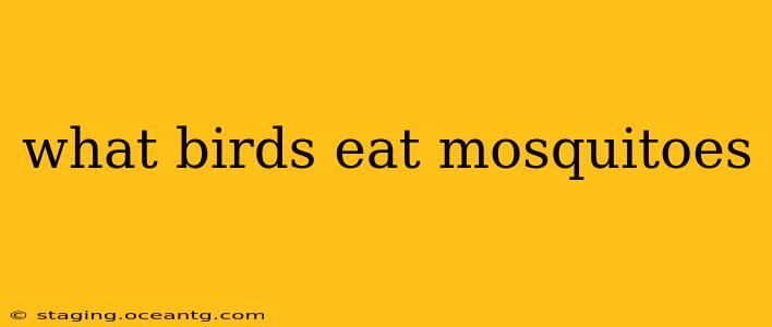 what birds eat mosquitoes