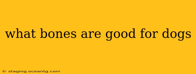 what bones are good for dogs