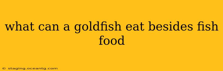 what can a goldfish eat besides fish food