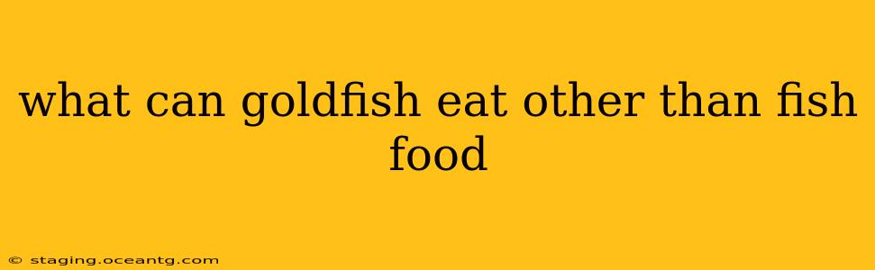 what can goldfish eat other than fish food