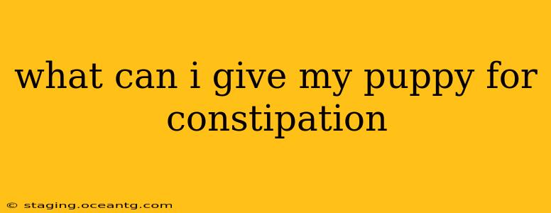 what can i give my puppy for constipation
