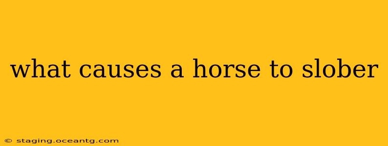 what causes a horse to slober
