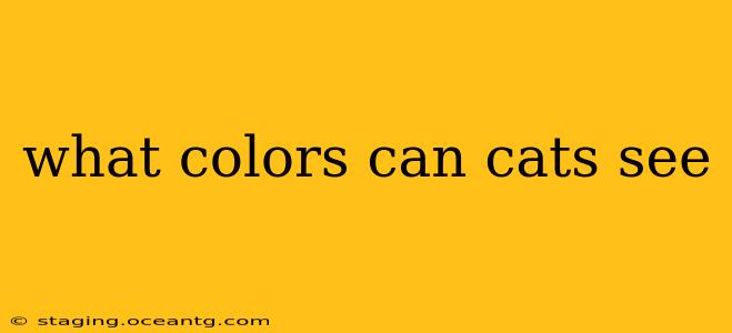 what colors can cats see