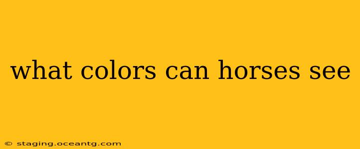 what colors can horses see