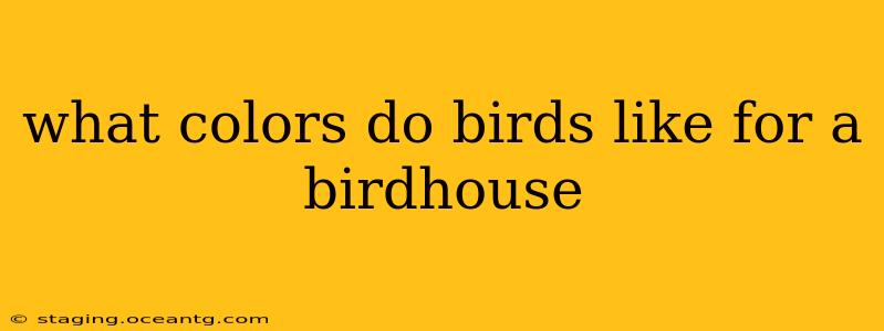 what colors do birds like for a birdhouse