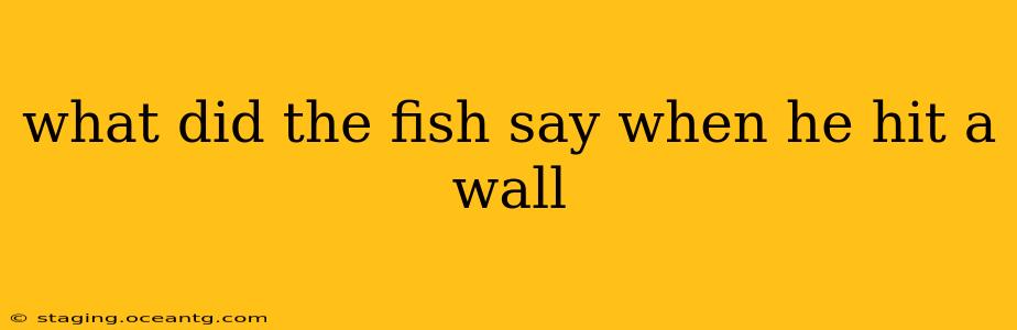 what did the fish say when he hit a wall