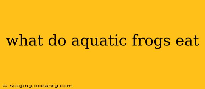 what do aquatic frogs eat