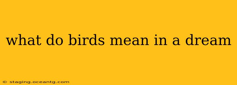 what do birds mean in a dream