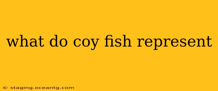 what do coy fish represent