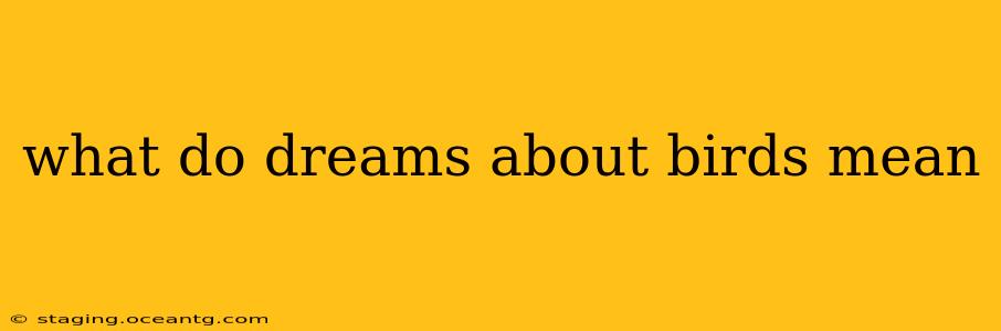 what do dreams about birds mean