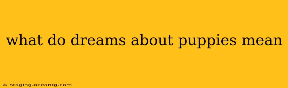 what do dreams about puppies mean