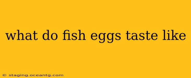 what do fish eggs taste like