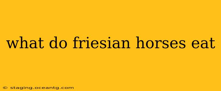 what do friesian horses eat
