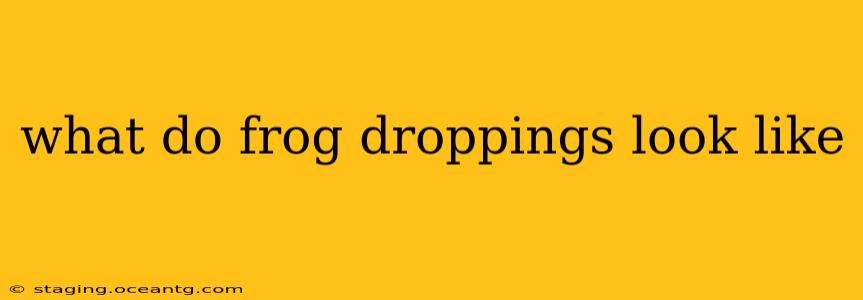 what do frog droppings look like