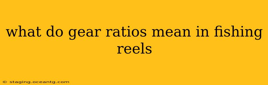 what do gear ratios mean in fishing reels
