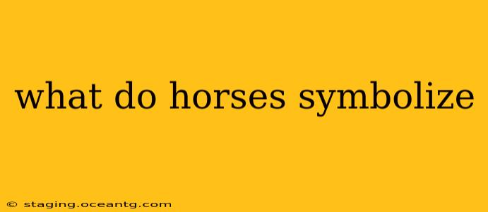 what do horses symbolize