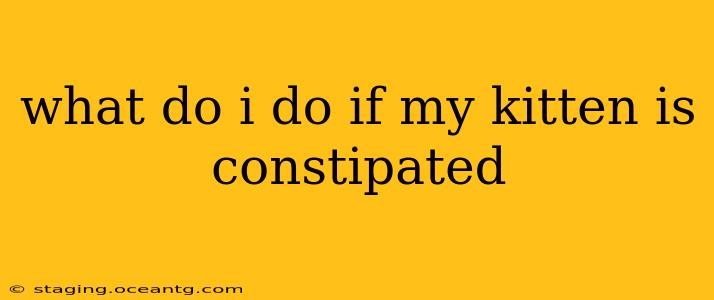 what do i do if my kitten is constipated