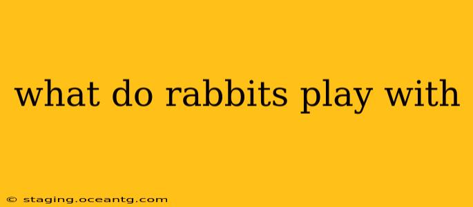 what do rabbits play with