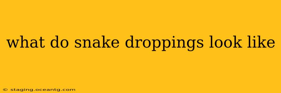 what do snake droppings look like