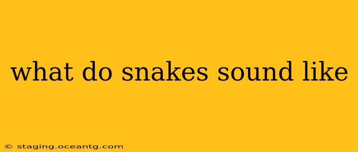 what do snakes sound like