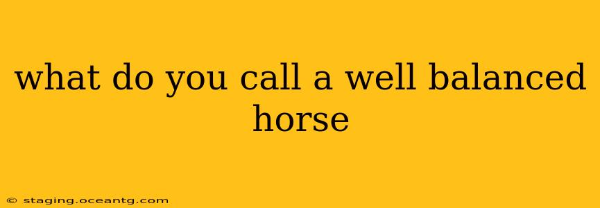 what do you call a well balanced horse