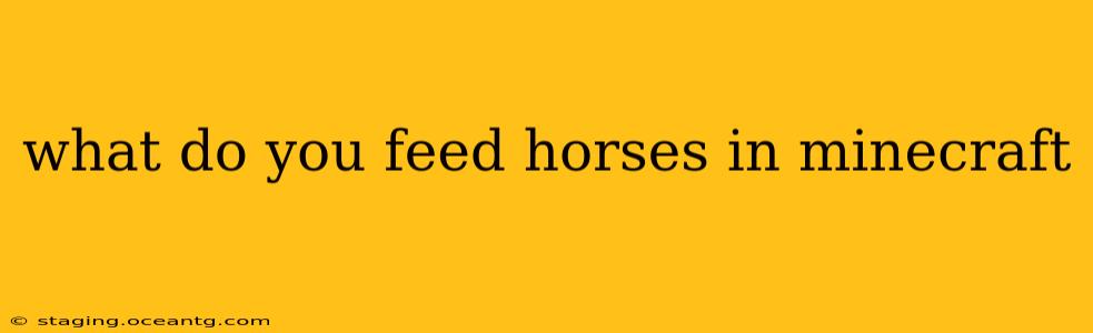 what do you feed horses in minecraft