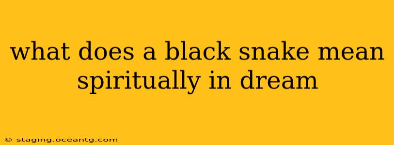 what does a black snake mean spiritually in dream