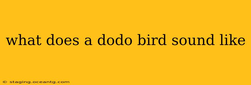 what does a dodo bird sound like