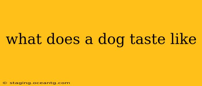 what does a dog taste like