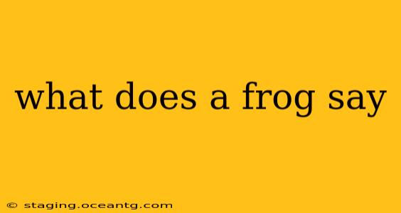 what does a frog say