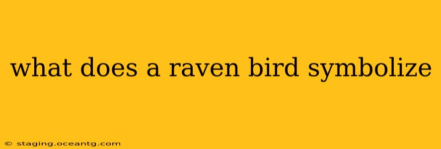 what does a raven bird symbolize