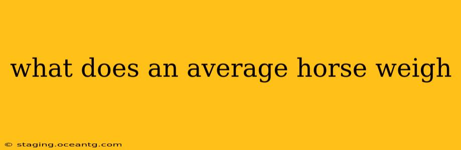 what does an average horse weigh